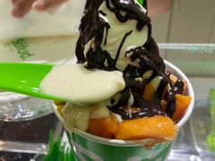 -Salud撒露欧洲冻酸奶(蓝色港湾店)