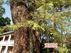 -广州中山纪念堂
