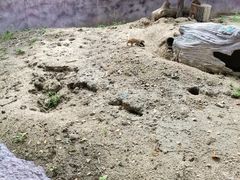 -宁波野生动物园