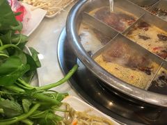 -朱氏胖子烂火锅(洪崖洞店)