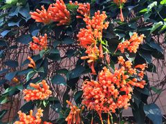 -桃花涧