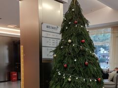 -浅水汤温泉(人民东路店)