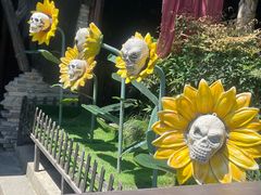 -杭州宋城