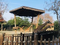 -上海野生动物园