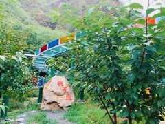 -十渡东湖港风景区