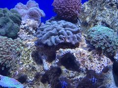-珠海长隆海洋王国