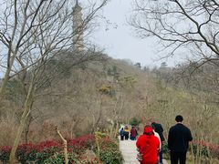 -巢湖姥山岛