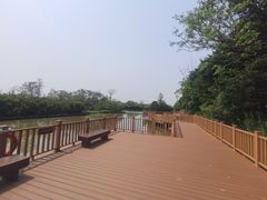 -大湾区中央湿地公园