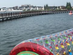 -鹅湖玫瑰文化园