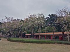 -顺峰山公园
