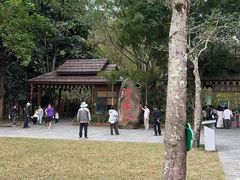 -野象谷景区