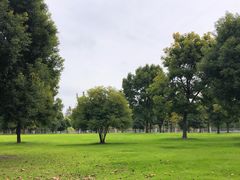-南通鹏欣花园国宾酒店