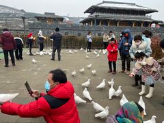 -白鹿原影视城