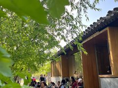 -春风习习
