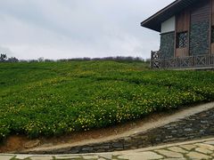 -天河潭旅游度假区