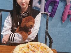 -百好乐宠物友好餐厅(朝外大街店)