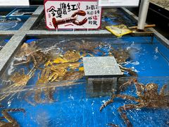 -盒马鲜生(皇庭广场店)