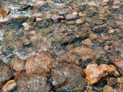 -白河湾生态旅游一条川