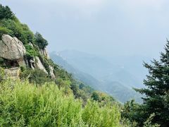 -泰山风景名胜区