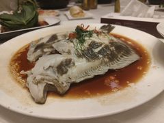 清蒸多宝鱼-大谊园