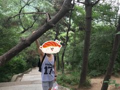 -北山公园