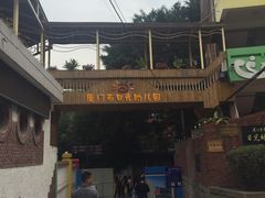 -厦门市日光幼儿园