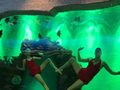 -瑞德姆美人鱼海底演艺主题餐厅(亚龙湾店)
