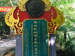 -西双版纳原始森林公园