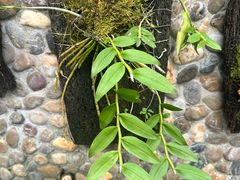 -茶米人台湾料理·精致快简餐