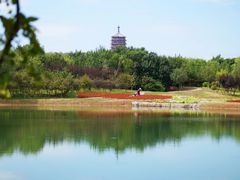 -永定河休闲森林公园