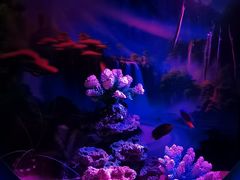 -欢乐海岸海洋奇梦馆