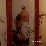逃不掉了❗️这家海鲜抓住了我的胃