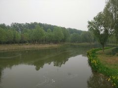 -东郊湿地公园