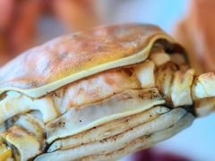 -视界美食自助餐厅·石家庄希尔顿酒店