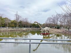 -上海海湾国家森林公园