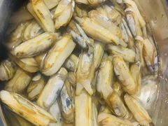 -金砂阿洲鱼册店