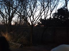 -山城家常菜铁锅炖鱼
