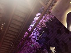 -韵秋荷(宝山龙湖天街店)