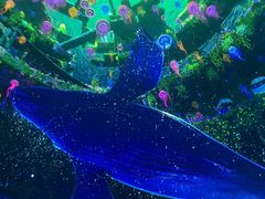 -海合安成都极地海洋公园