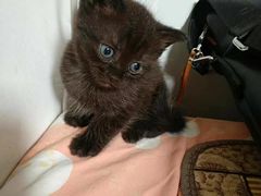 -惠康宠物医院(华能路店)