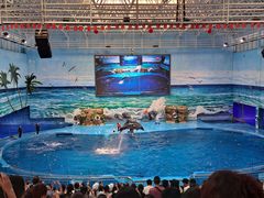 -多彩贵州城极地海洋世界