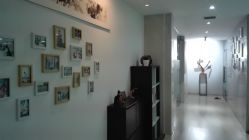 -榕树上·瑜伽普拉提