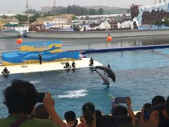 -秦皇岛乐岛海洋王国