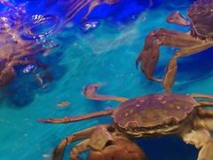 -SEA西雅图海鲜自助餐厅(海乐世界店)
