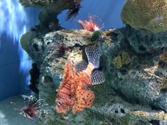 -太平洋海底世界