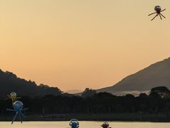 -风云岭森林公园