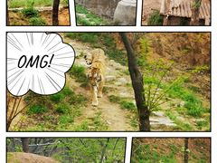 -石家庄市动物园