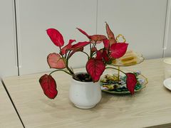 -曼朗心理咨询·旗舰店