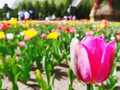 -长春公园(普阳街道)