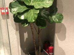 -赵小姐丨新中餐(曲江店)